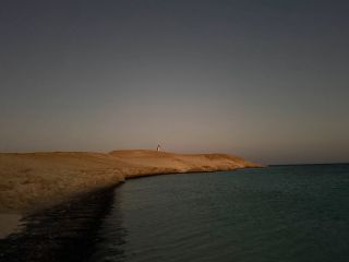 Po pár dnech znova na signálu 📡 takže další ochutnávka fotek z našeho výletu😉🤿🇪🇬 #kwsdiving #manta&seals #divingsafariegypt